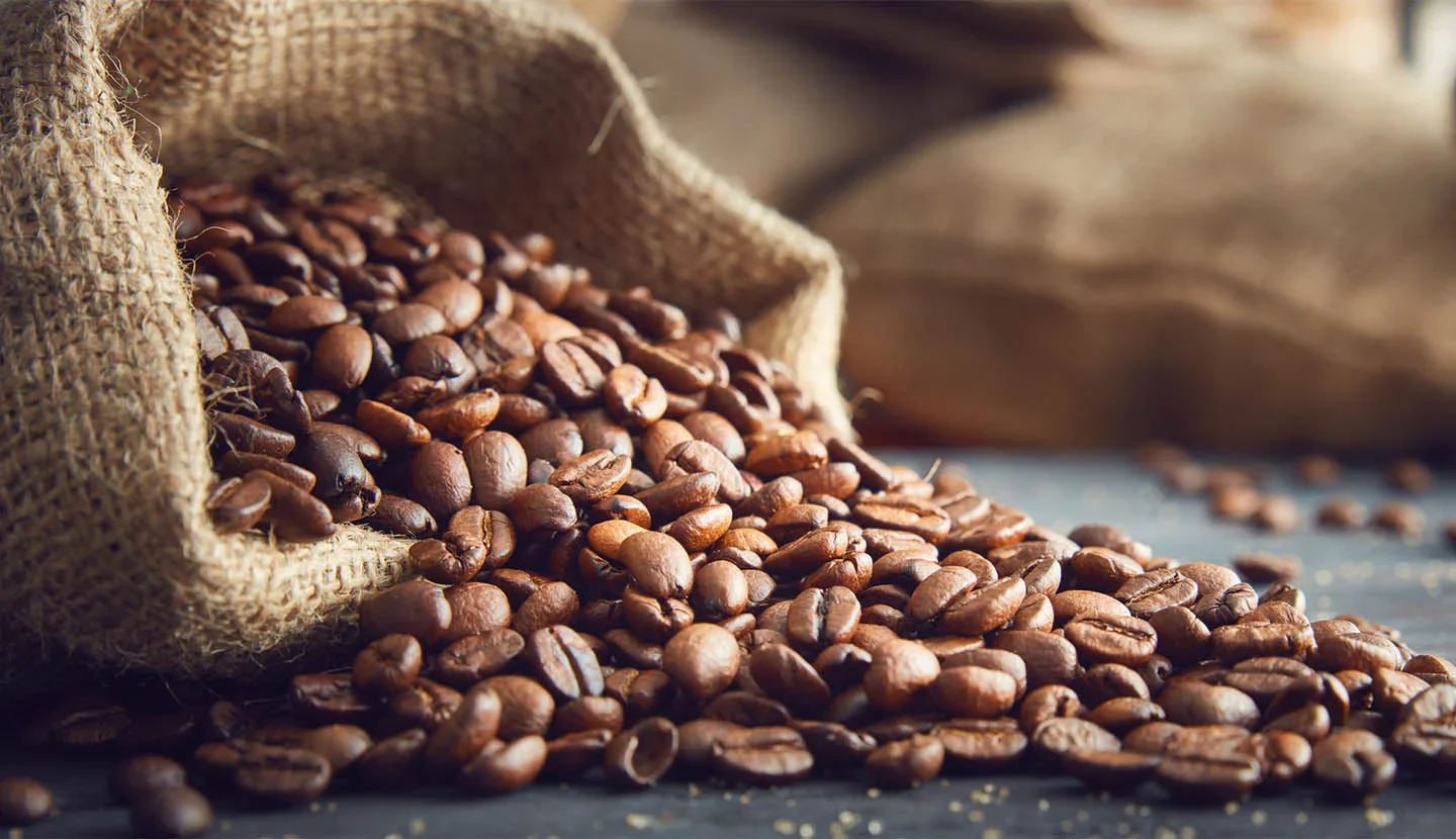 The Rich Journey of Coffee: From Bean to Brew